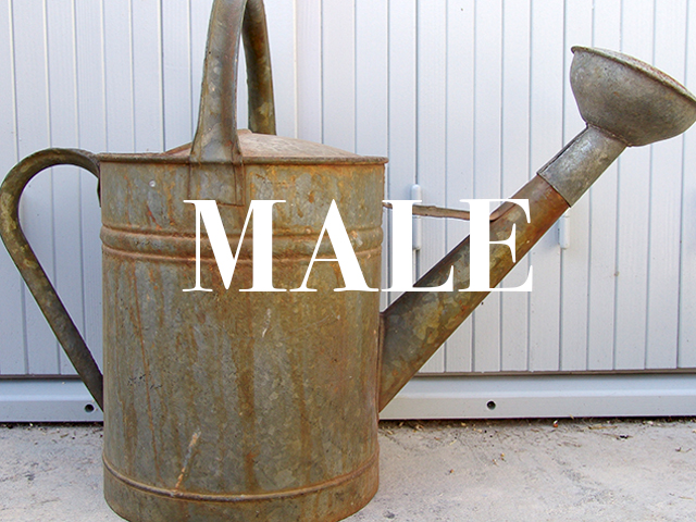 WATERING CAN MALE