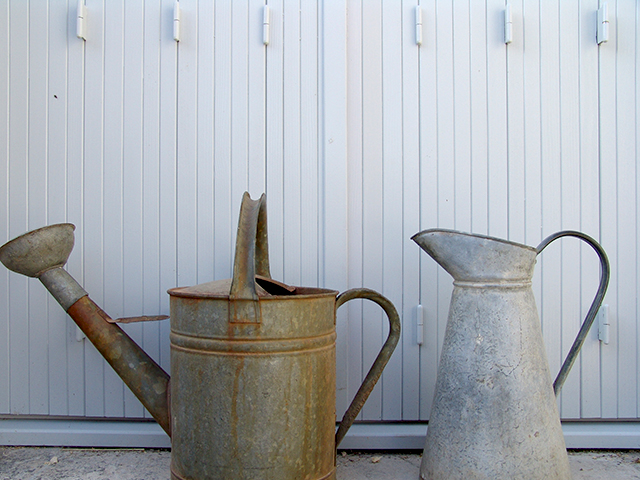 WATERING CANS COUPLE