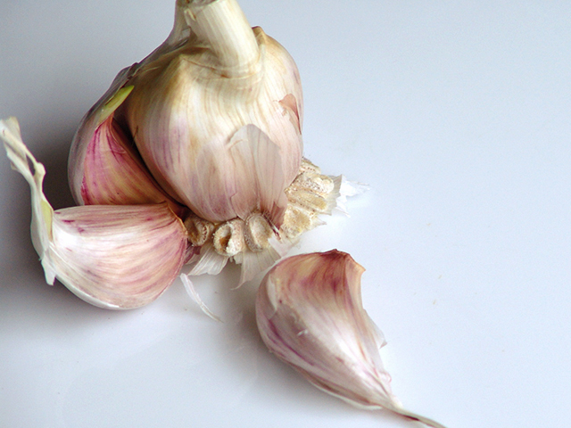 ROSE-GARLIC
