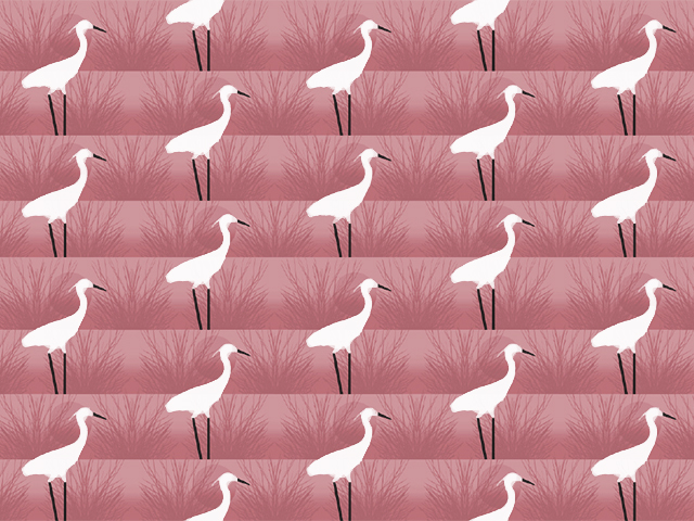 FLAMINGO BRANCHES