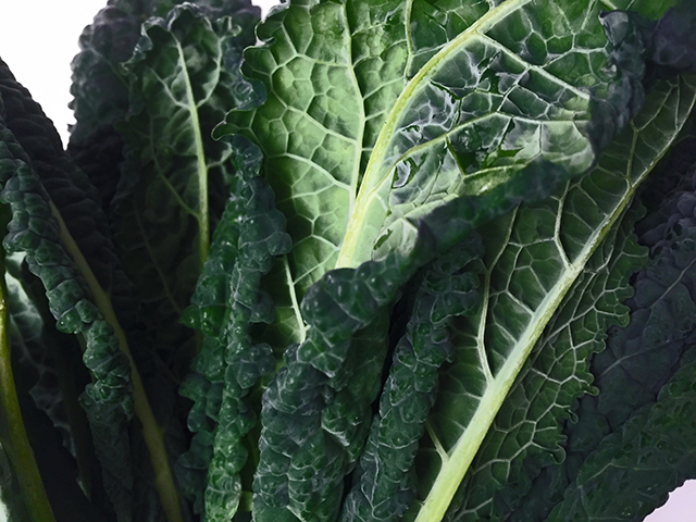 CAVOLO NERO CROSTINI 4